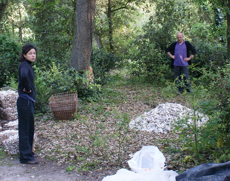 CEF 2008 Fouras A Installation_008.jpg